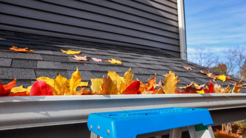 Gutter Cleanout, Gutter Cleaning Services | Port St. Lucie & Stuart, FL ...